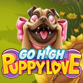 Go High Puppy Love slot logo by RubyPlay at Glorion Casino